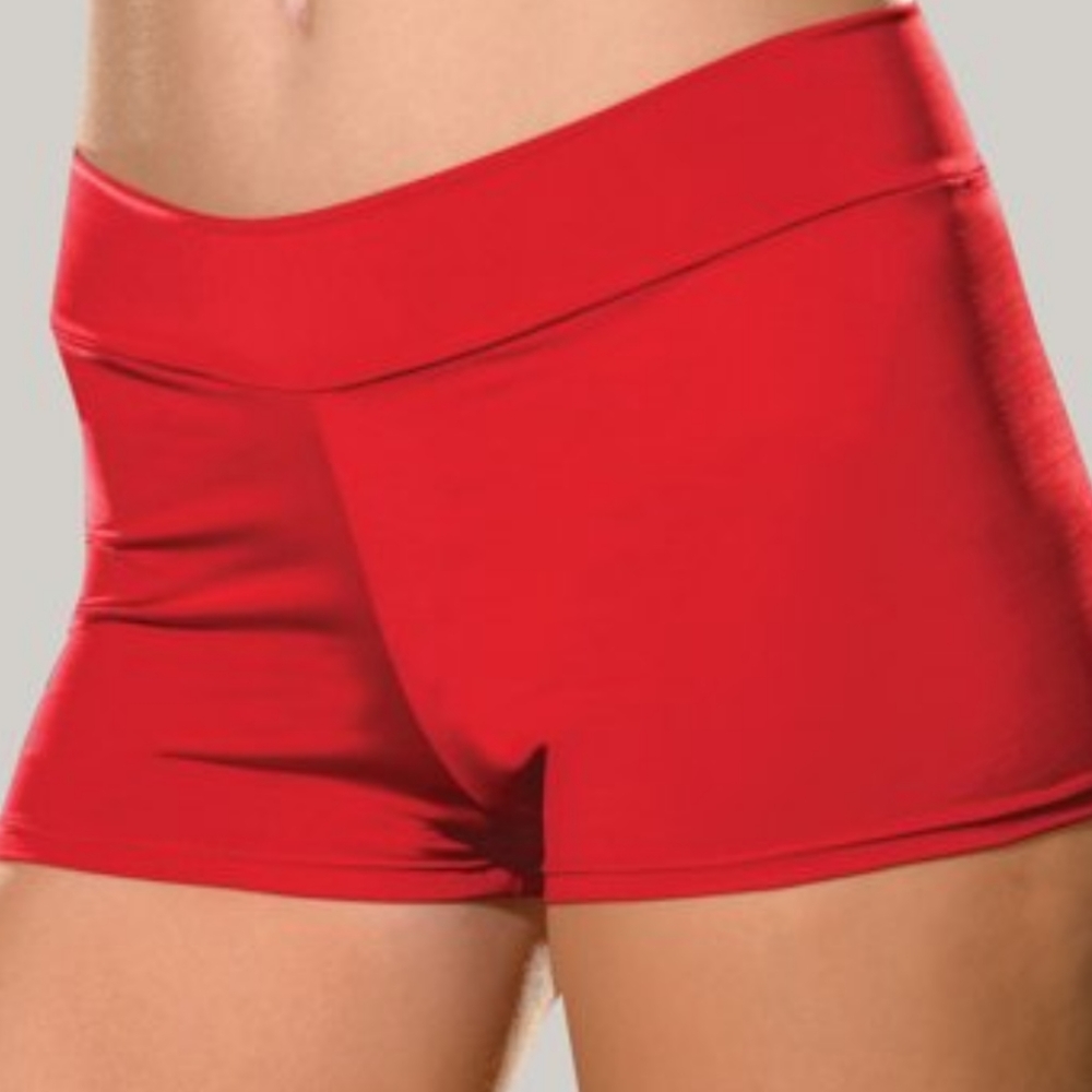 Dream Girl Hot Shorts NWT 3XL